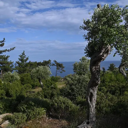 Villa Nous Village Aliki (Thasos)